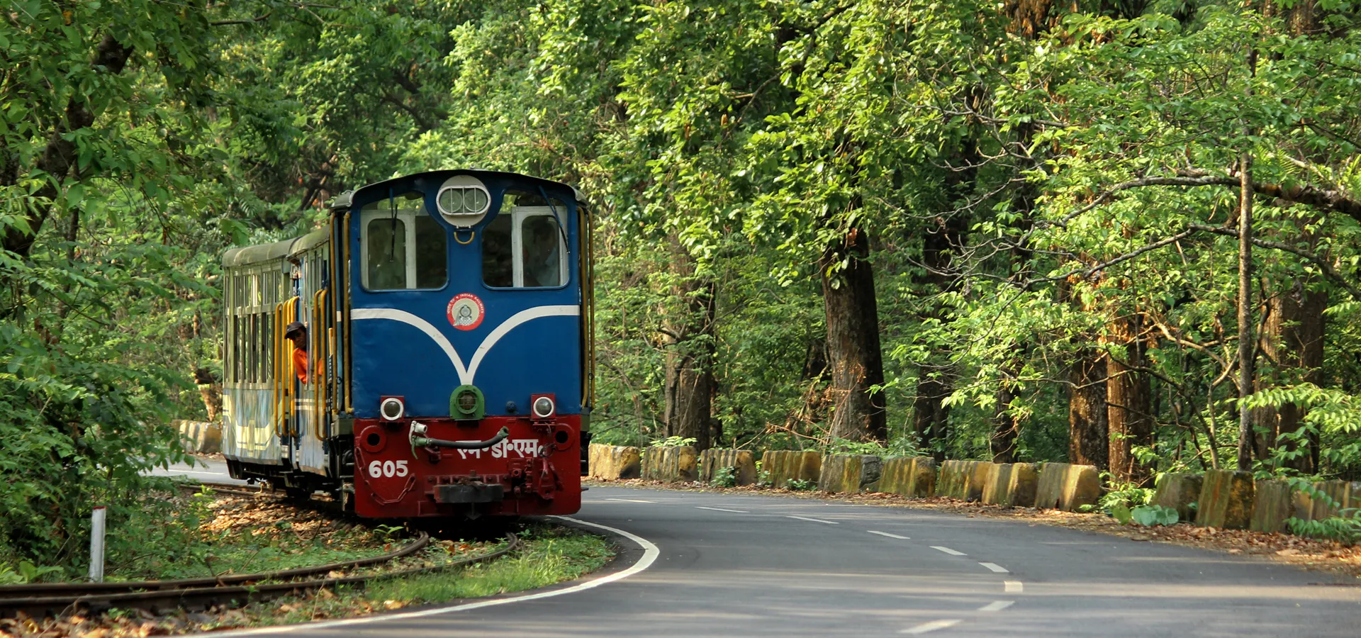 Darjeeling tea gardens