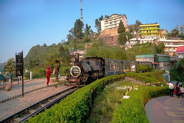 Darjeeling hills and tea gardens